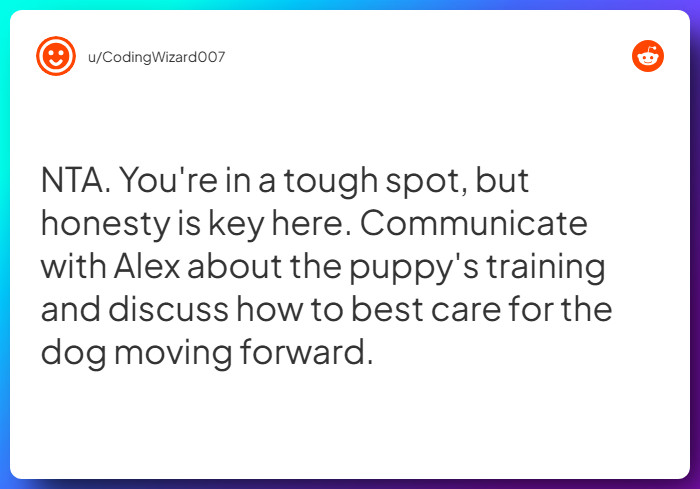 Comment from u/CodingWizard007