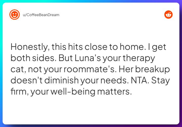 Comment from u/CoffeeBeanDream