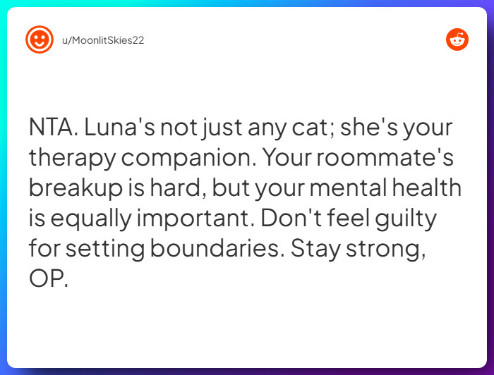 Comment from u/MoonlitSkies22