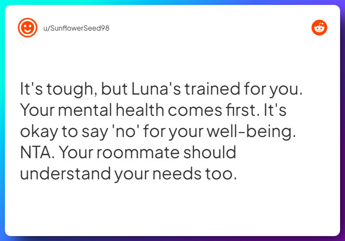 Comment from u/SunflowerSeed98