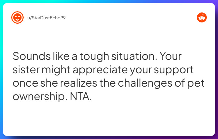 Comment from u/StarDustEcho99