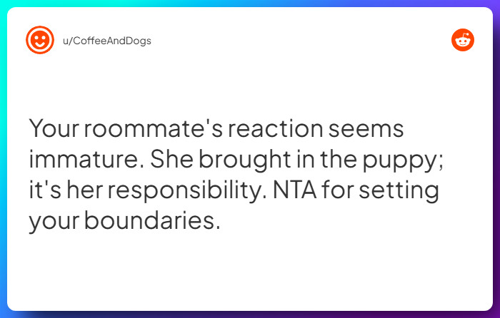 Comment from u/CoffeeAndDogs