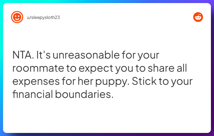 Comment from u/sleepysloth23