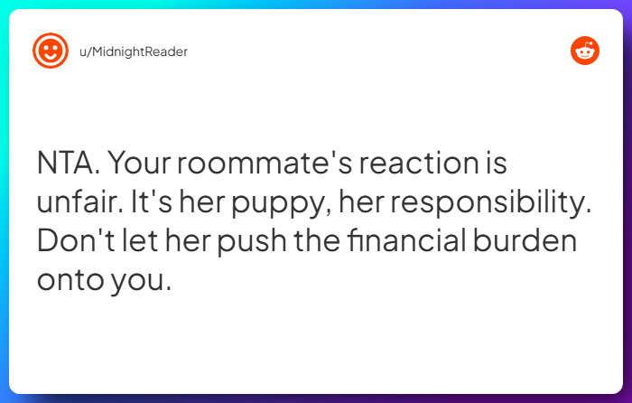 Comment from u/MidnightReader