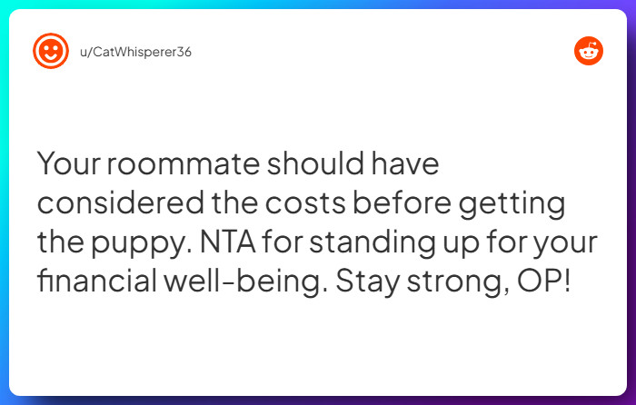 Comment from u/CatWhisperer36