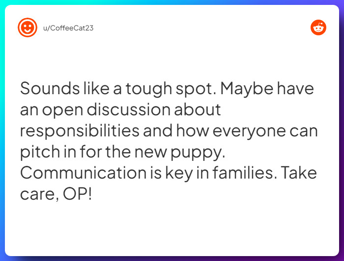 Comment from u/CoffeeCat23