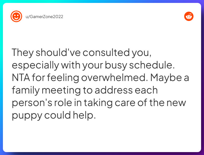 Comment from u/GamerZone2022