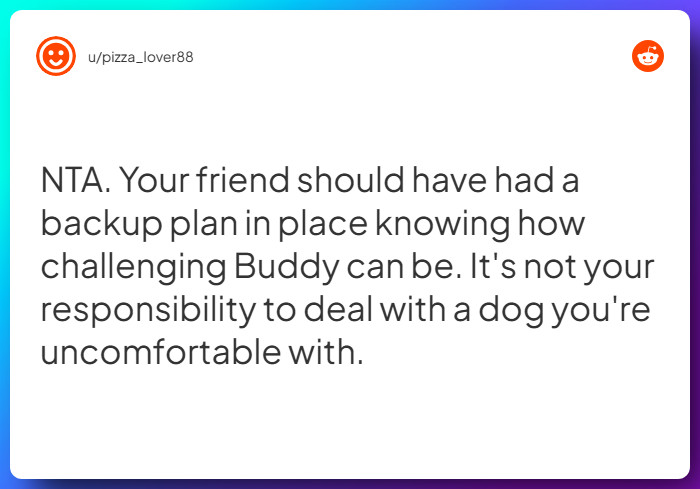 Comment from u/pizza_lover88