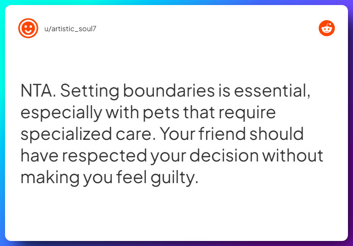 Comment from u/artistic_soul7