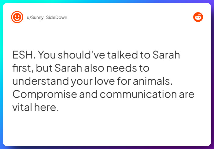 Comment from u/Sunny_SideDown