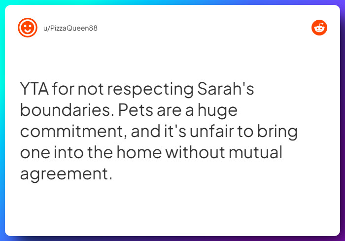 Comment from u/PizzaQueen88