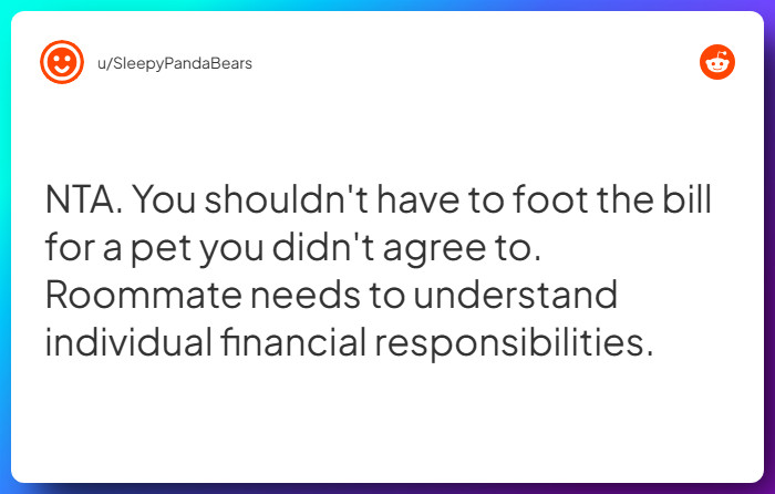 Comment from u/SleepyPandaBears