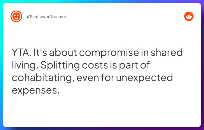 Comment from u/SunflowerDreamer