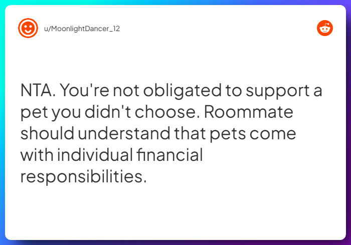 Comment from u/MoonlightDancer_12