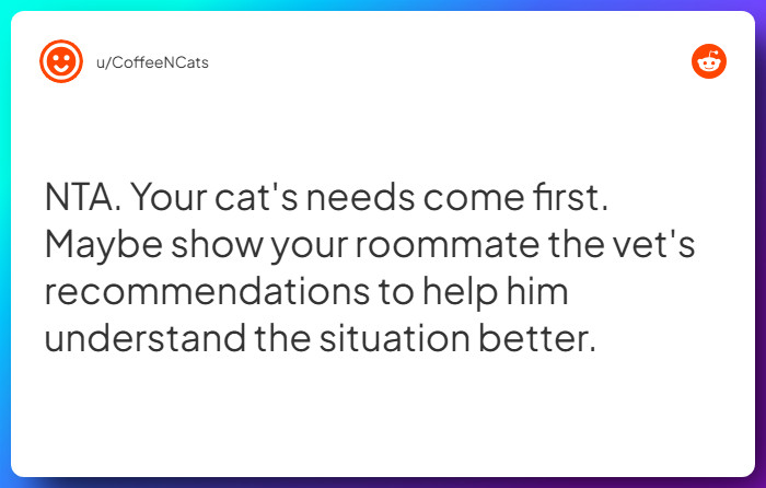 Comment from u/CoffeeNCats