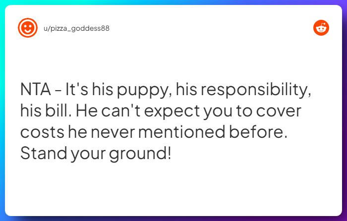 Comment from u/pizza_goddess88