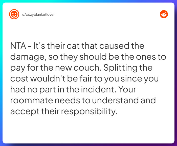 Comment from u/cozyblanketlover