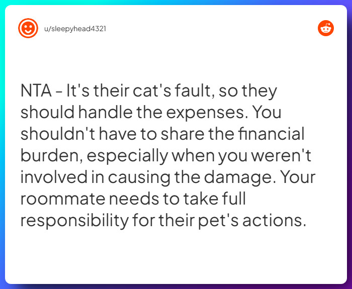 Comment from u/sleepyhead4321