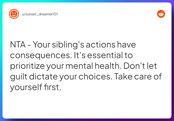 Comment from u/sunset_dreamer101