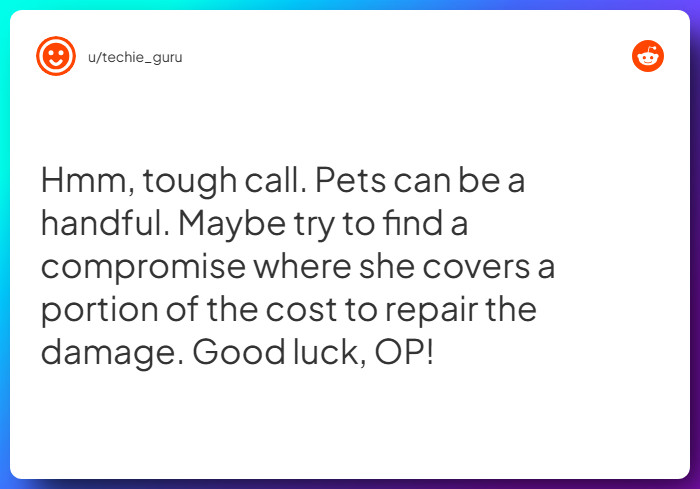 Comment from u/techie_guru