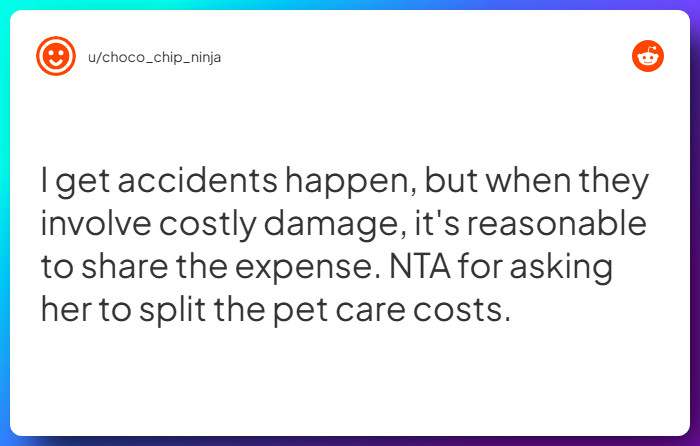 Comment from u/choco_chip_ninja
