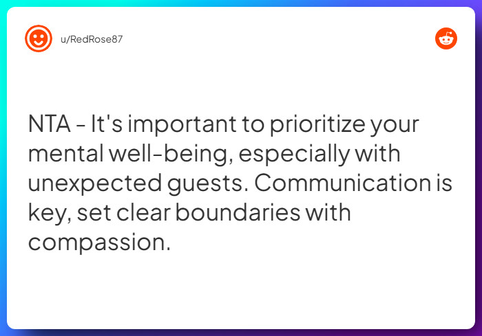 Comment from u/RedRose87