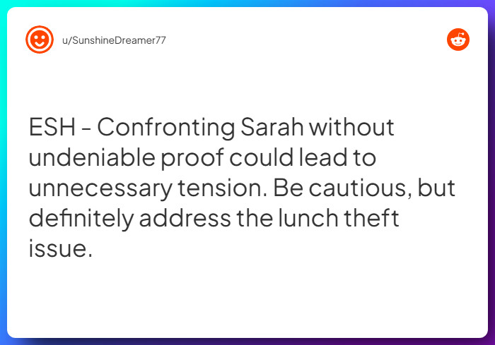 Comment from u/SunshineDreamer77