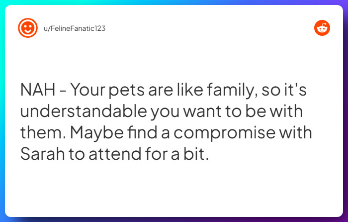 Comment from u/FelineFanatic123
