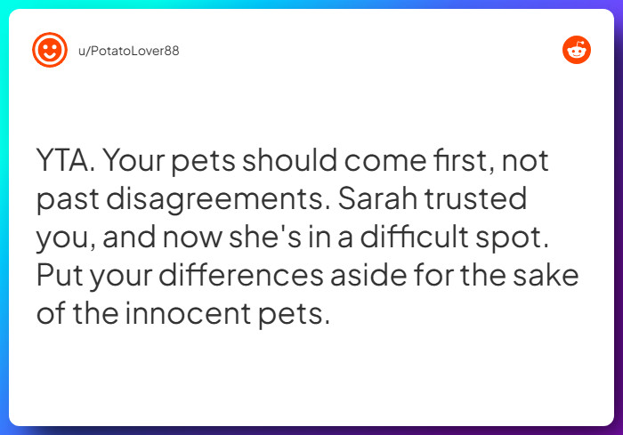 Comment from u/PotatoLover88