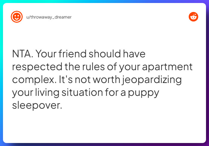Comment from u/throwaway_dreamer