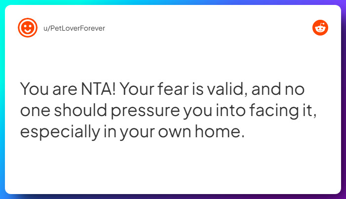 Comment from u/PetLoverForever