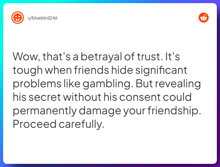 Comment from u/bluebird246