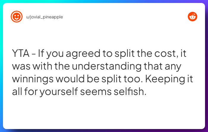 Comment from u/jovial_pineapple