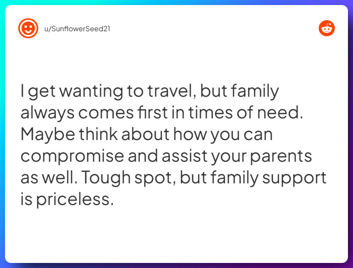Comment from u/SunflowerSeed21