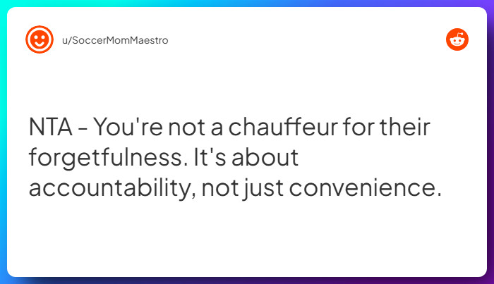 Comment from u/SoccerMomMaestro