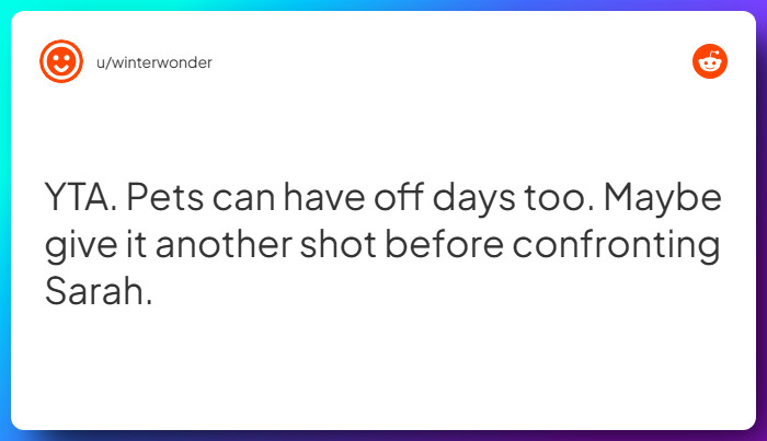 Comment from u/winterwonder