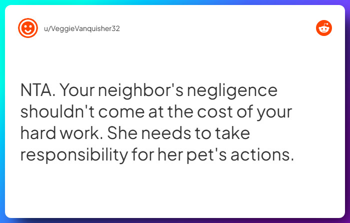 Comment from u/VeggieVanquisher32