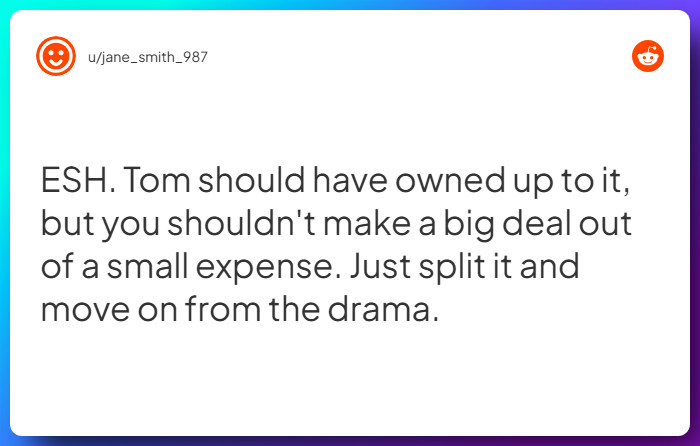 Comment from u/jane_smith_987