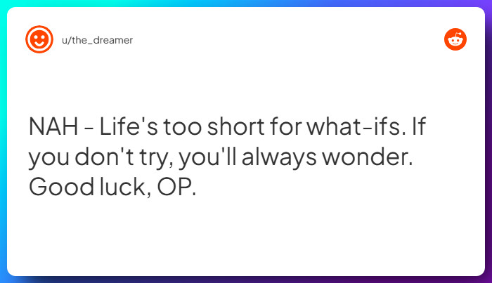 Comment from u/the_dreamer