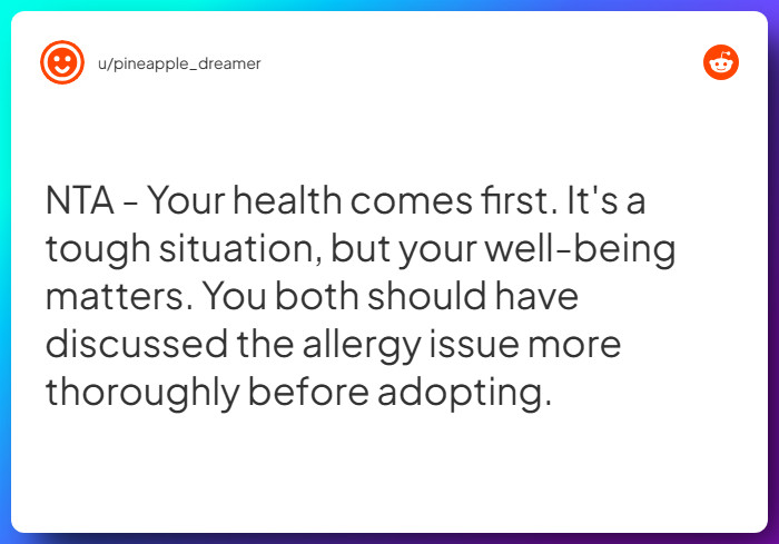 Comment from u/pineapple_dreamer