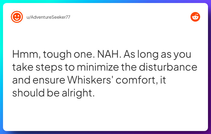 Comment from u/AdventureSeeker77