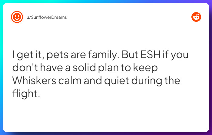 Comment from u/SunflowerDreams