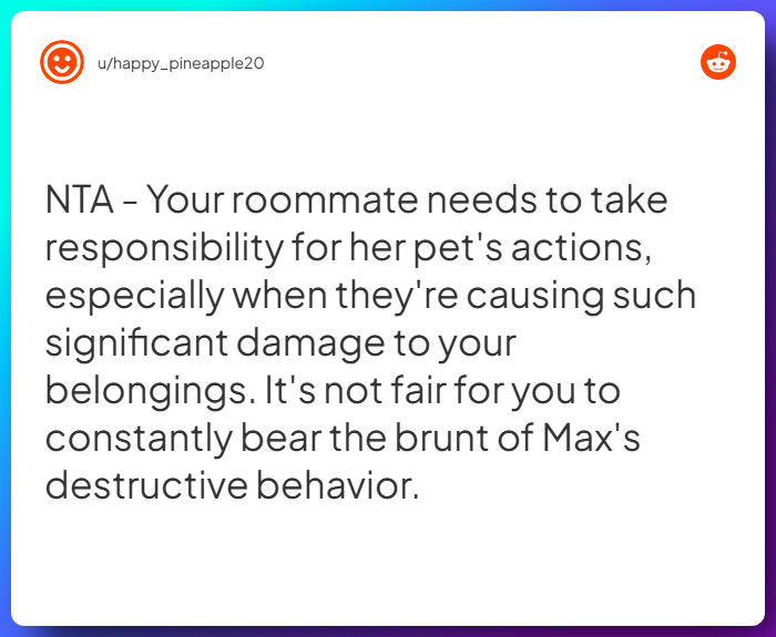 Comment from u/happy_pineapple20