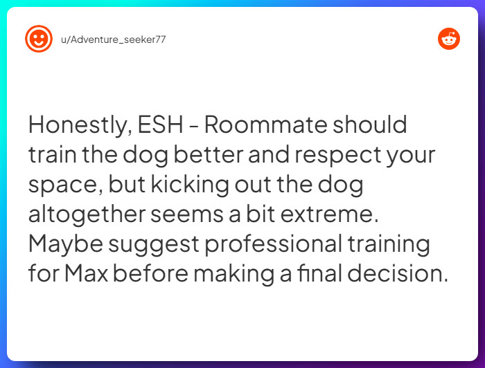 Comment from u/Adventure_seeker77