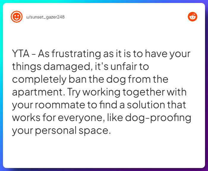 Comment from u/sunset_gazer248