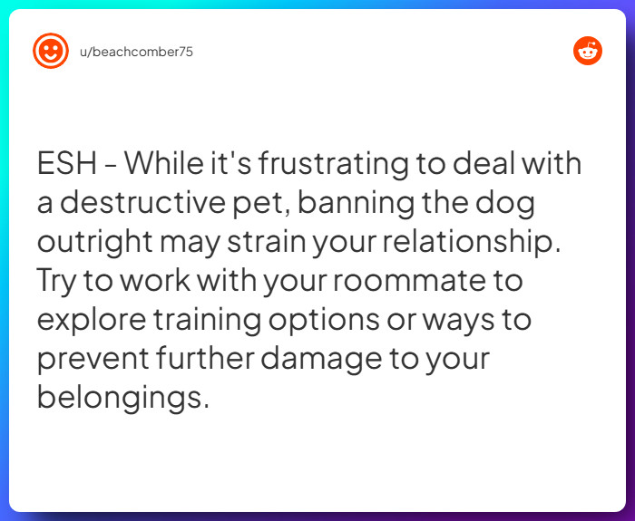 Comment from u/beachcomber75