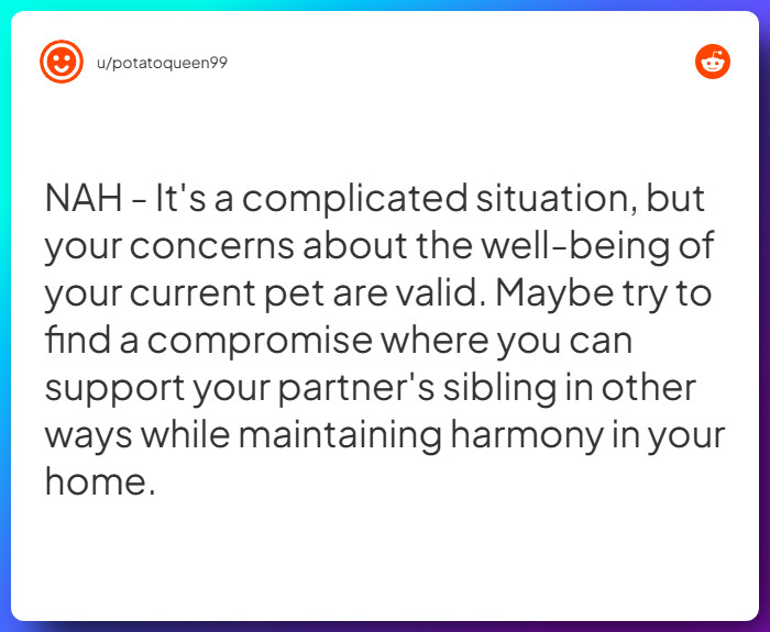 Comment from u/potatoqueen99