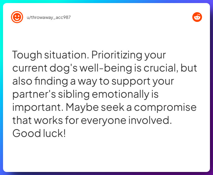 Comment from u/throwaway_acc987