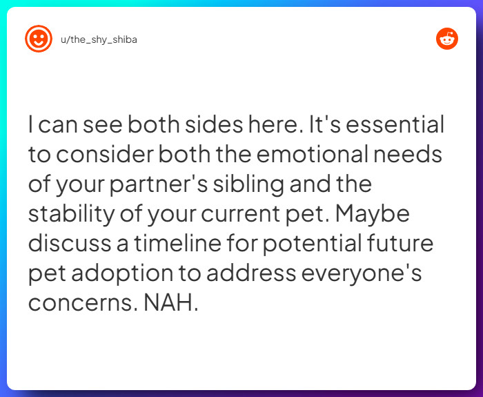 Comment from u/the_shy_shiba