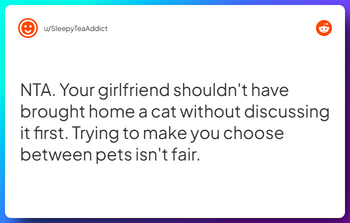 Comment from u/SleepyTeaAddict